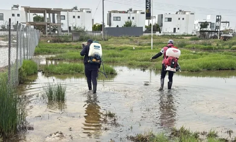 GMB kent genelinde sivrisinekle mücadeleye devam ediyor